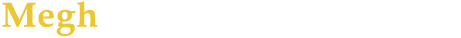 Megh Securities